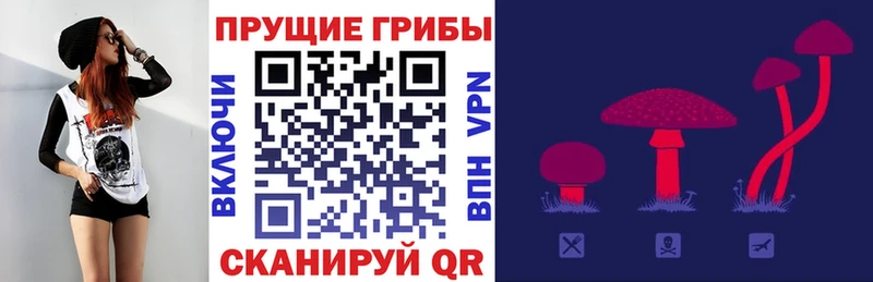 ОМГ ОМГ как зайти наркотики Игра Псилоцибиновые грибы ЛСД